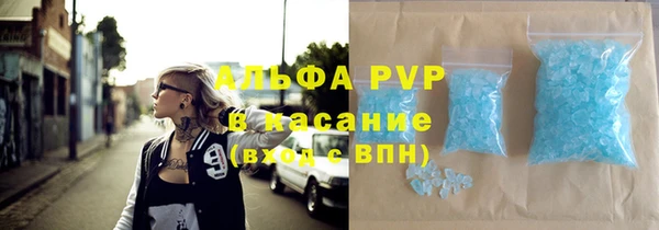 шишки Гусиноозёрск