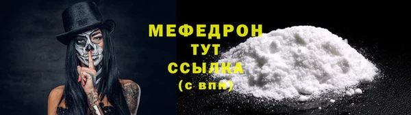 шишки Гусиноозёрск