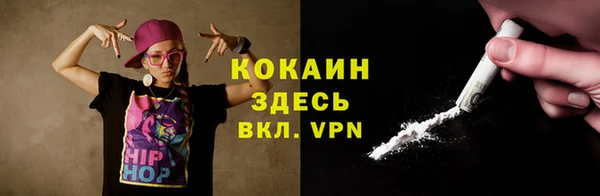шишки Гусиноозёрск