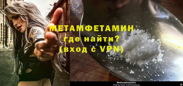 шишки Гусиноозёрск