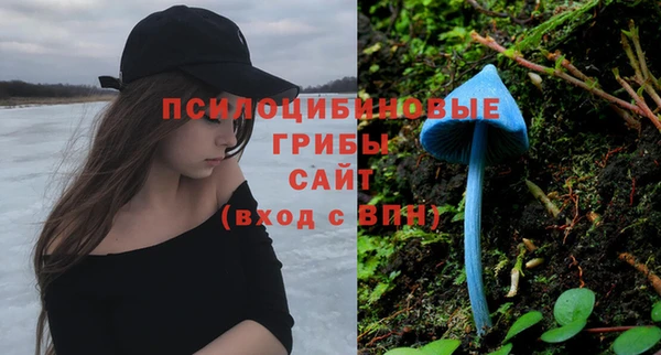 COCAINE Гусев