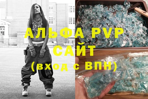 шишки Гусиноозёрск