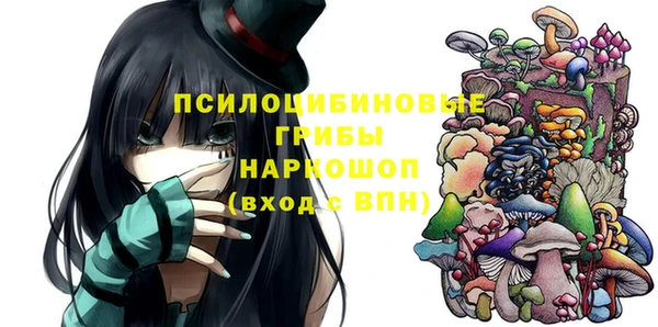 шишки Гусиноозёрск