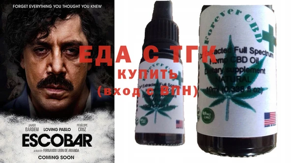 шишки Гусиноозёрск