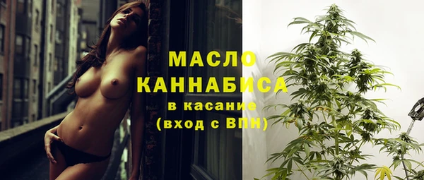 шишки Гусиноозёрск