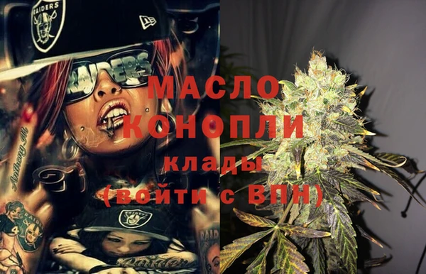 шишки Гусиноозёрск