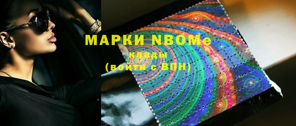 шишки Гусиноозёрск