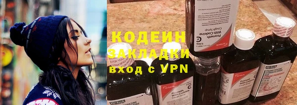 шишки Гусиноозёрск