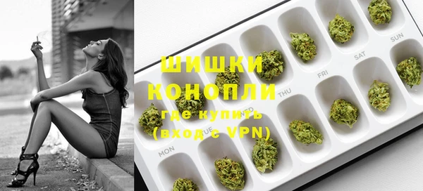 шишки Гусиноозёрск