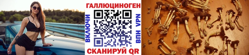 купить цена Черкесск Галлюциногенные грибы мухоморы