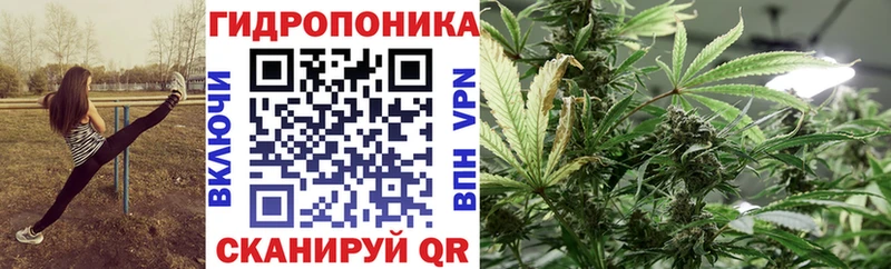 Бошки Шишки индика Черкесск