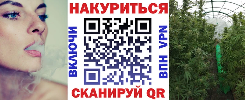 купить закладку  Черкесск  МАРИХУАНА семена 